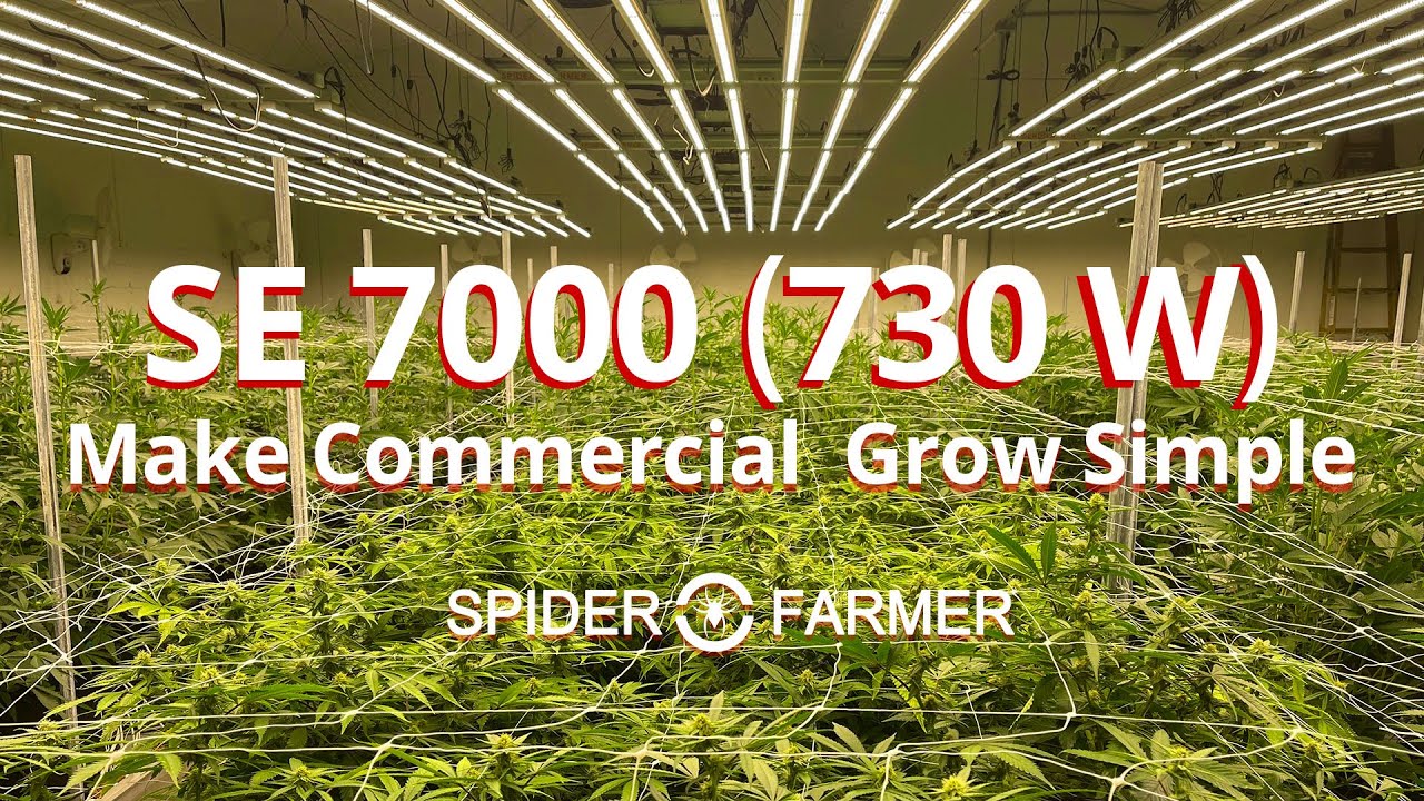 Commercial Cannabis Grow Lighting - Spider Farmer SE 7000 LED