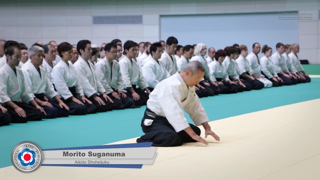 Aikido Class: Morito Suganuma 8th Dan - 12th IAF Congress in Takasaki