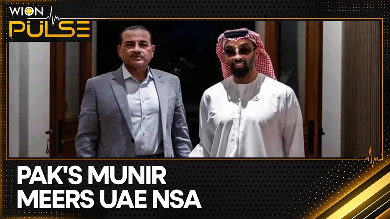 Pakistan Forges Alliances With UAE Seeking New Investments | WION Pulse