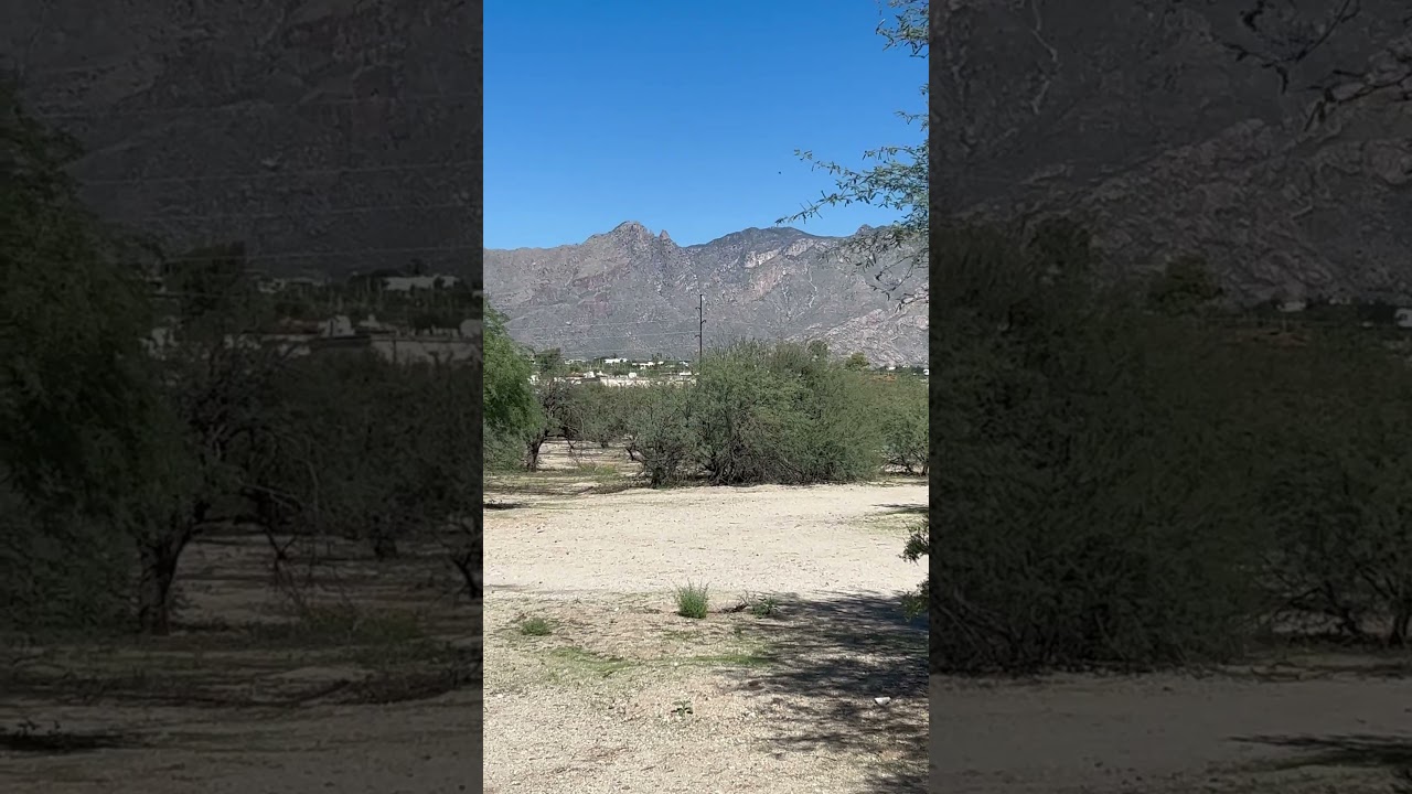 Please subscribe to me #hiking #hikingroute #mountains