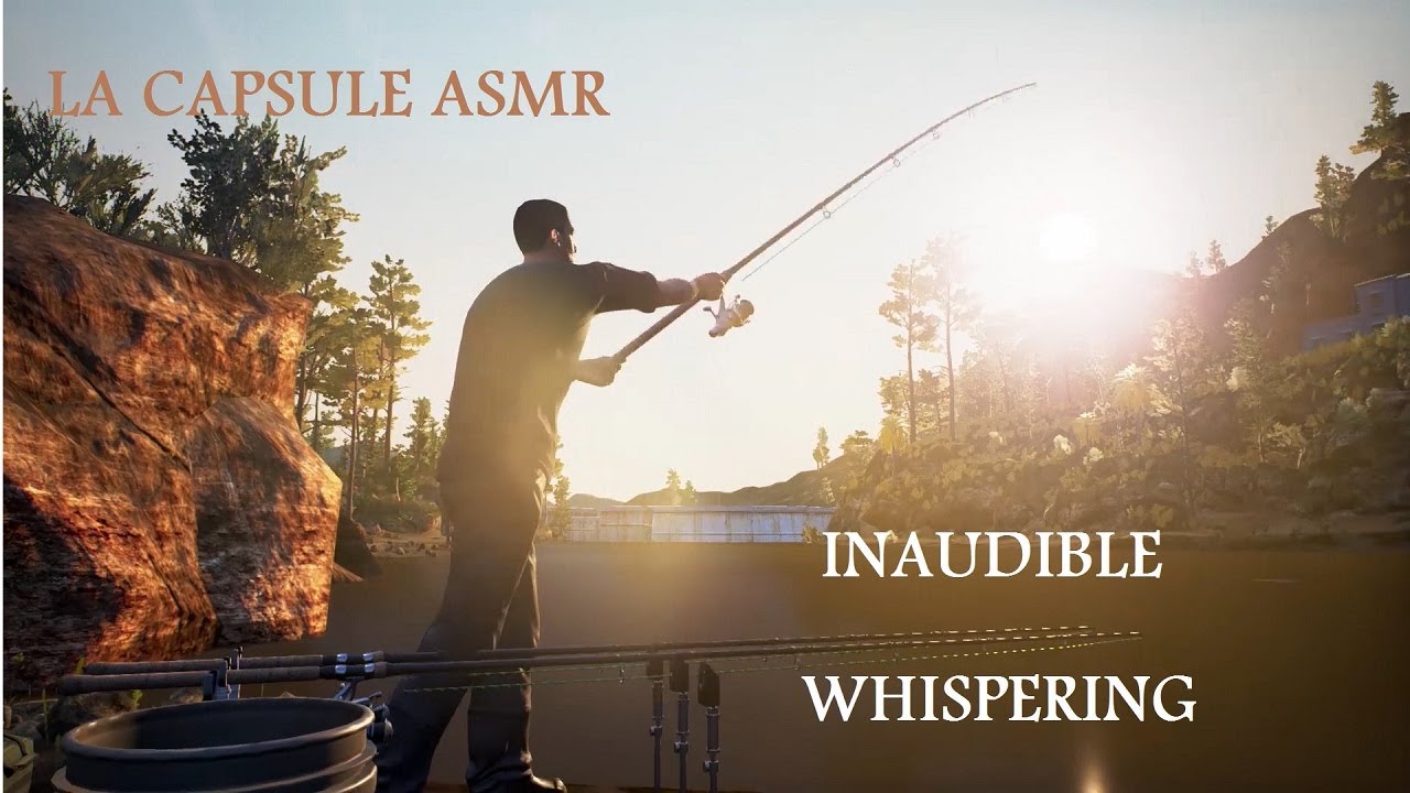 ASMR Français - inaudible / semi inaudible - (gaming) 