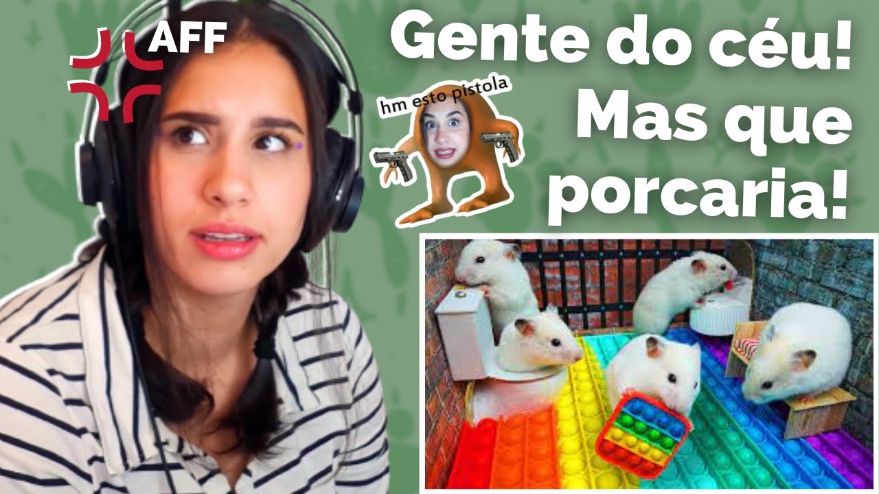 Um labirinto de POP IT para HAMSTERS? | VÍDEOS VIRAIS DE HAMSTERS #7