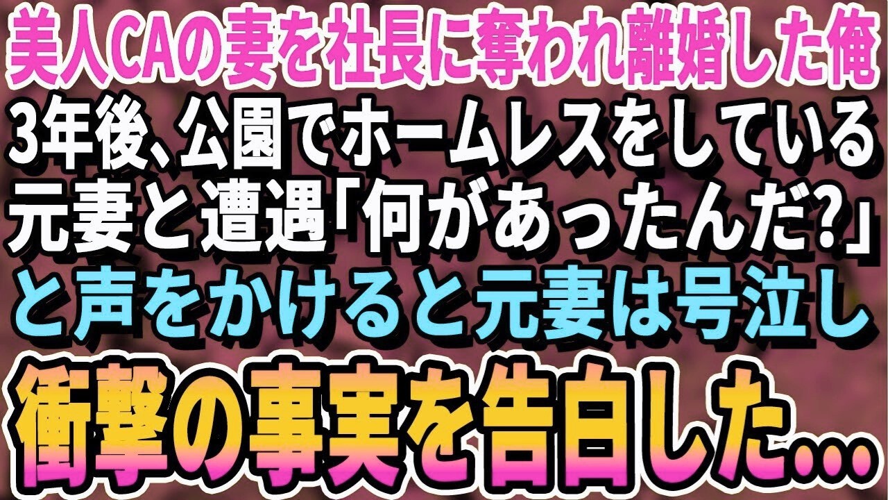 【感動】美人CAの妻を奪われ離婚した俺。3年後、ボロボロの服を来て街中を徘徊している元嫁と再会「ど、どうしたんだ   ？」と話しかけると元嫁が泣き出して   【泣ける話・スカッとする話・朗読】