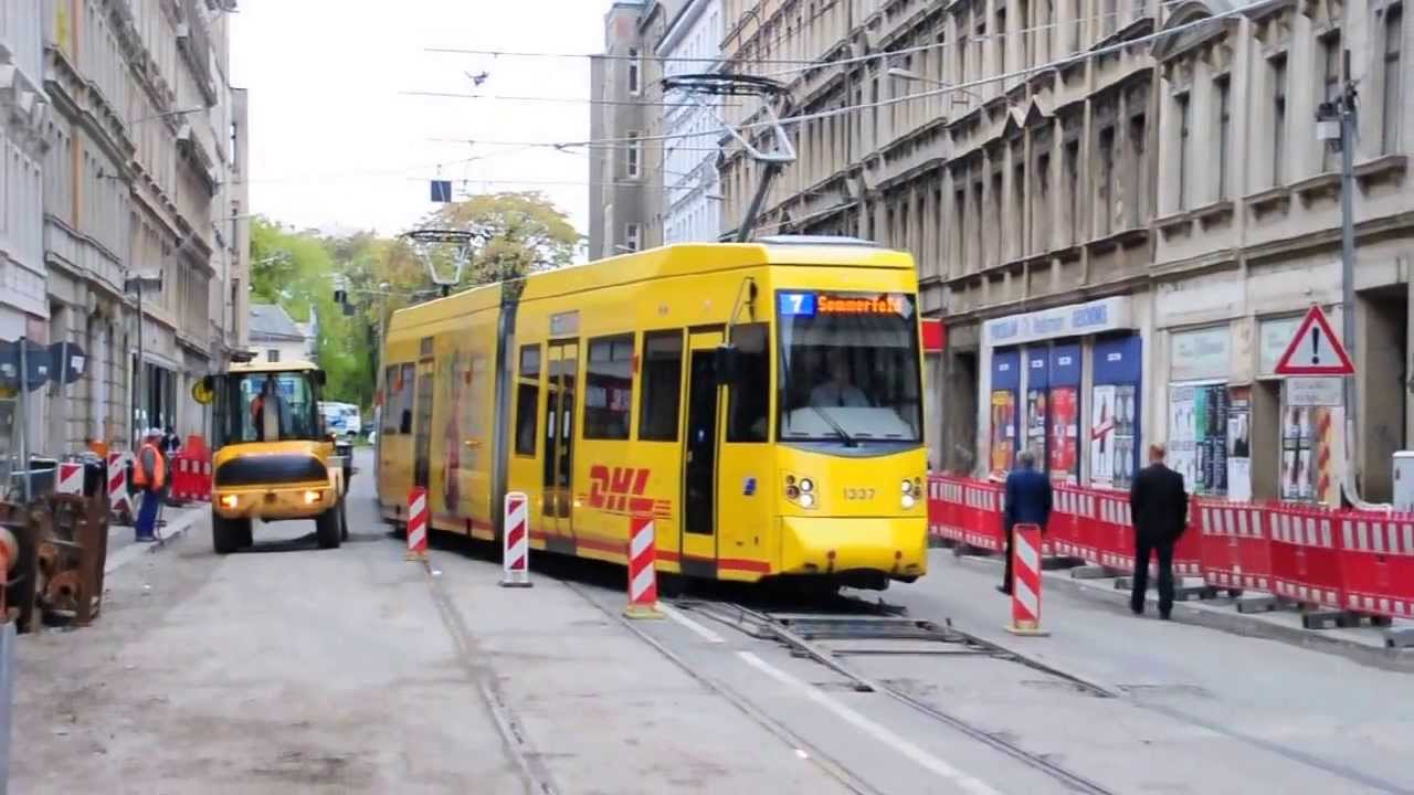 Leipziger Leoliner auf Kletterweiche in Wurzner Stra&szlig;e