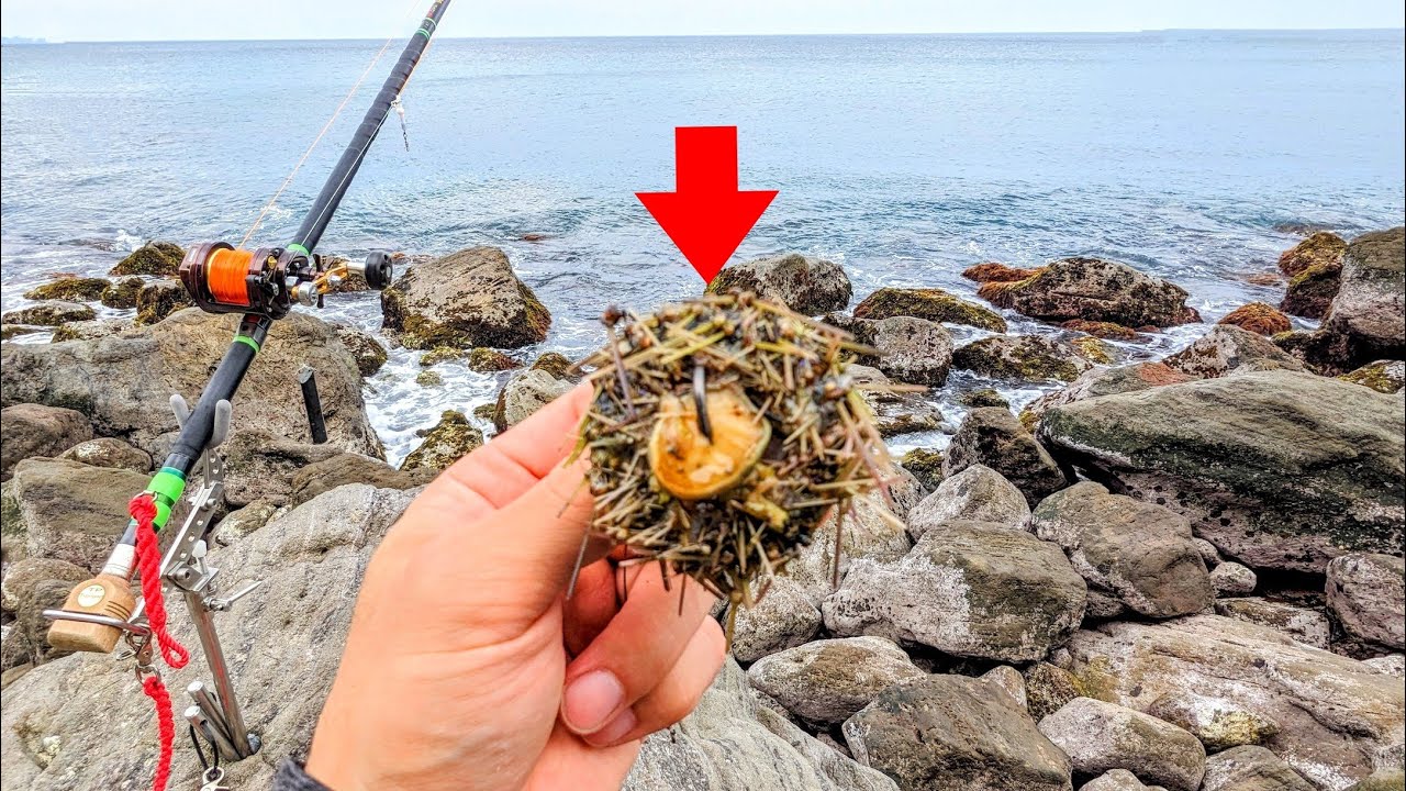 【石鯛釣り】【必殺技】魚がいること自体信じられない大雨の激浅ゴロタである技を試すと...（131）