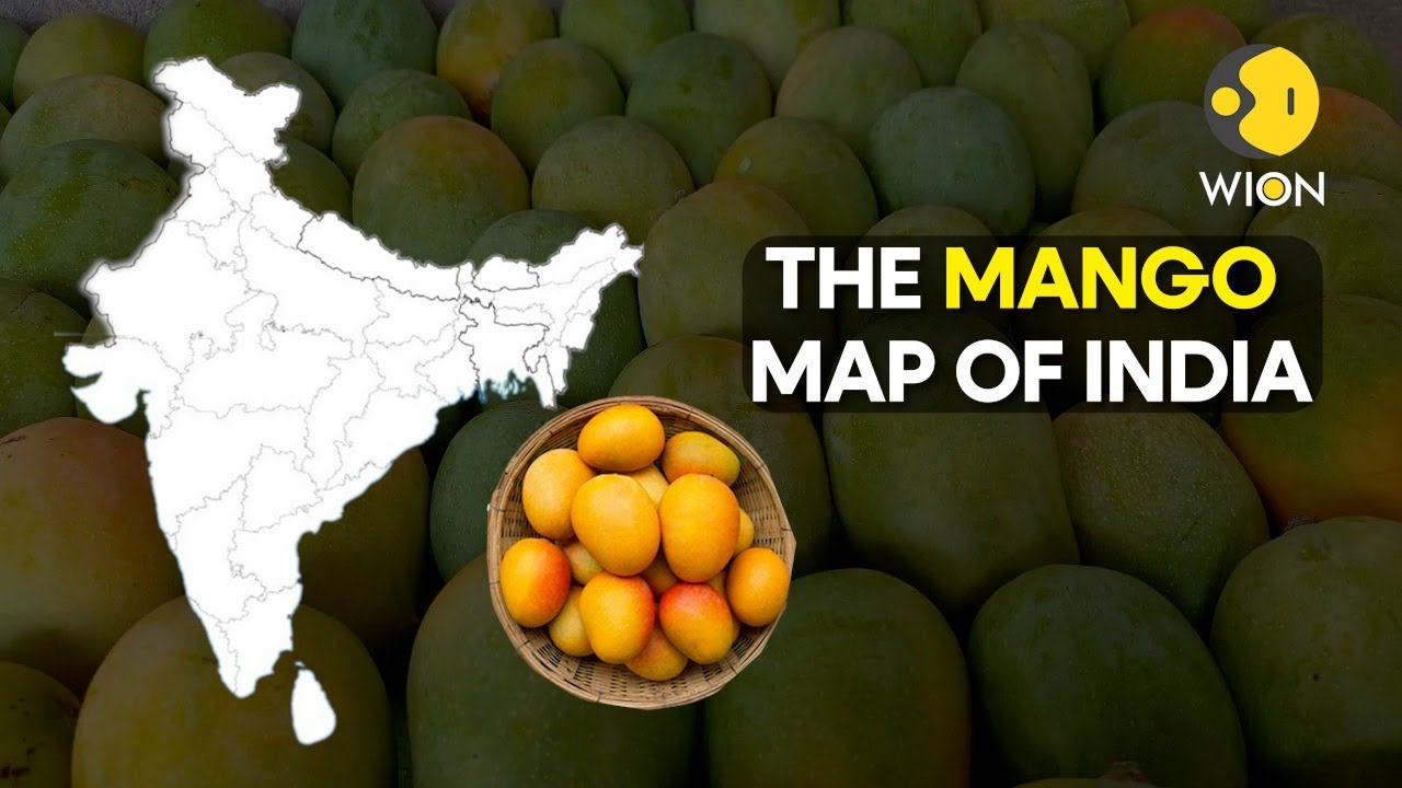 As the mango season arrives in India, here's where to get them