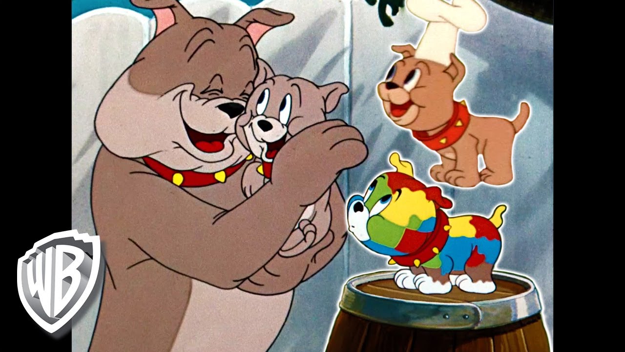 Tom y Jerry en Latino | Tyke, el mejor cachorro de todos | WB Kids