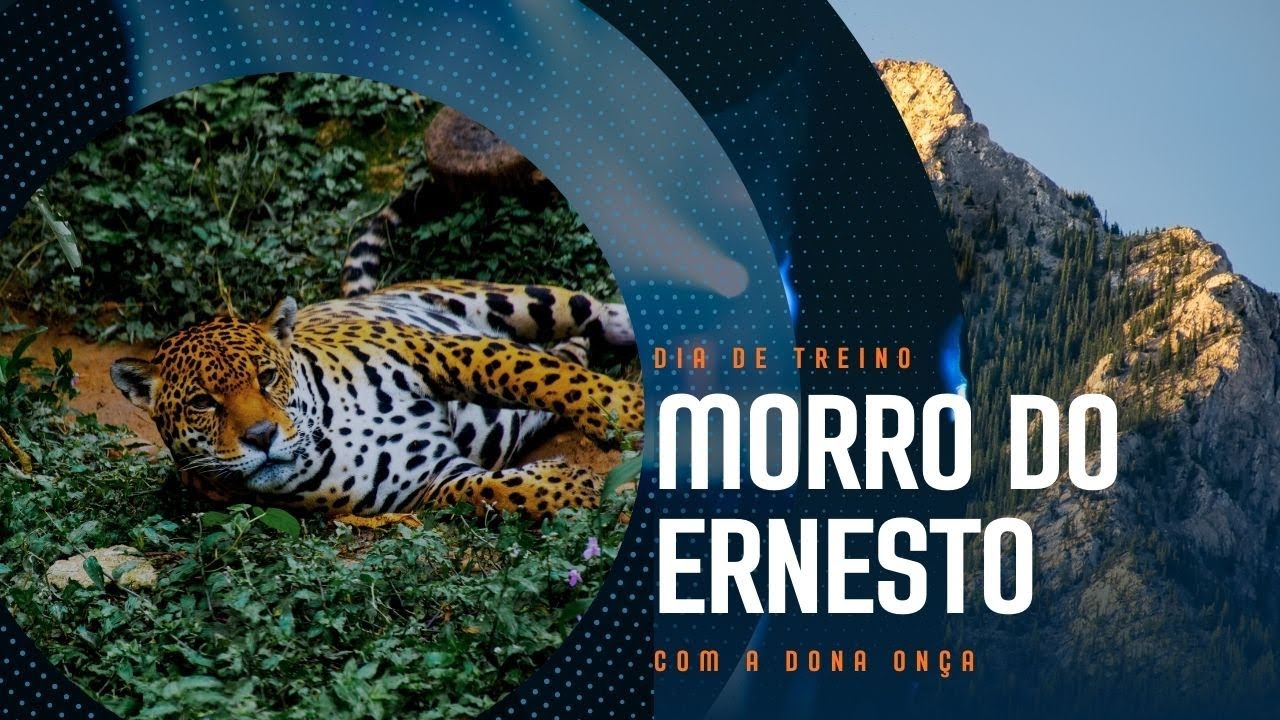 TREINO NO MORRO DO ERNESTO COM A DONA ONÇA
