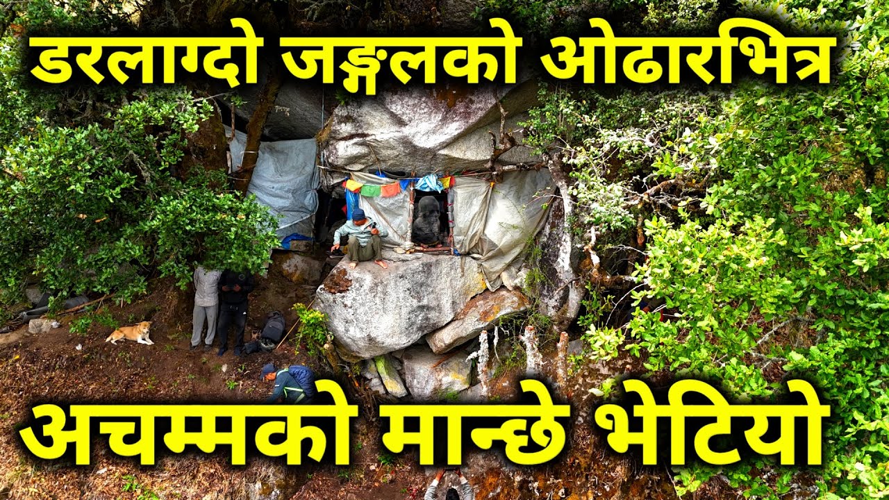 डरलाग्दो जङ्गलको ओढारमा भेटियो यस्तो अचम्मको मान्छे | ६ बर्ष देखि जङ्गलमै खाने जङ्गलमै बस्ने