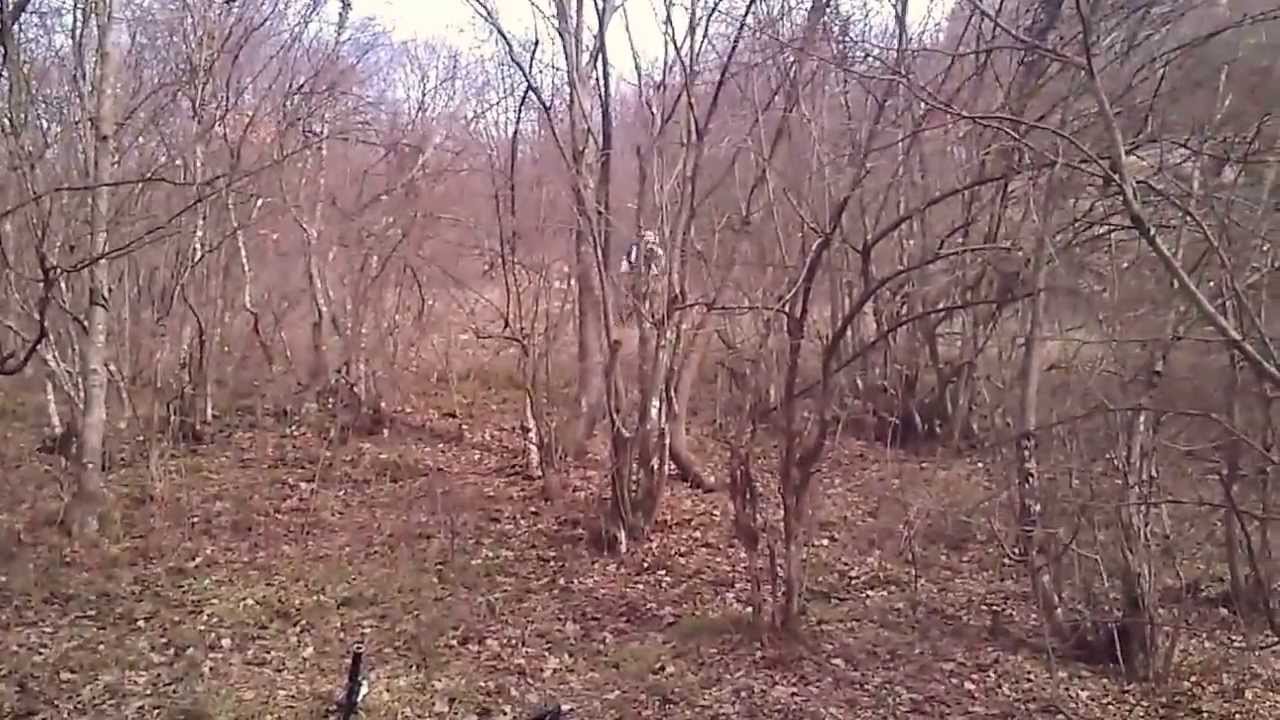Lepterija spust
