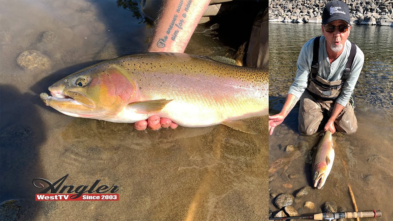 Land Of The Giants (Eastern WA West Slope Cutthroat Trout)