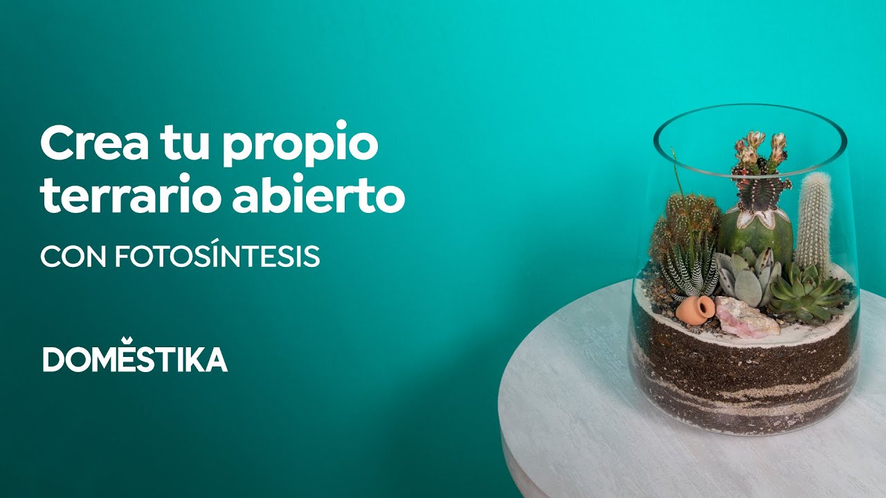 CURSO ONLINE Arte vegetal: CREA tu propio TERRARIO en VIDRIO ABIERTO | Domestika