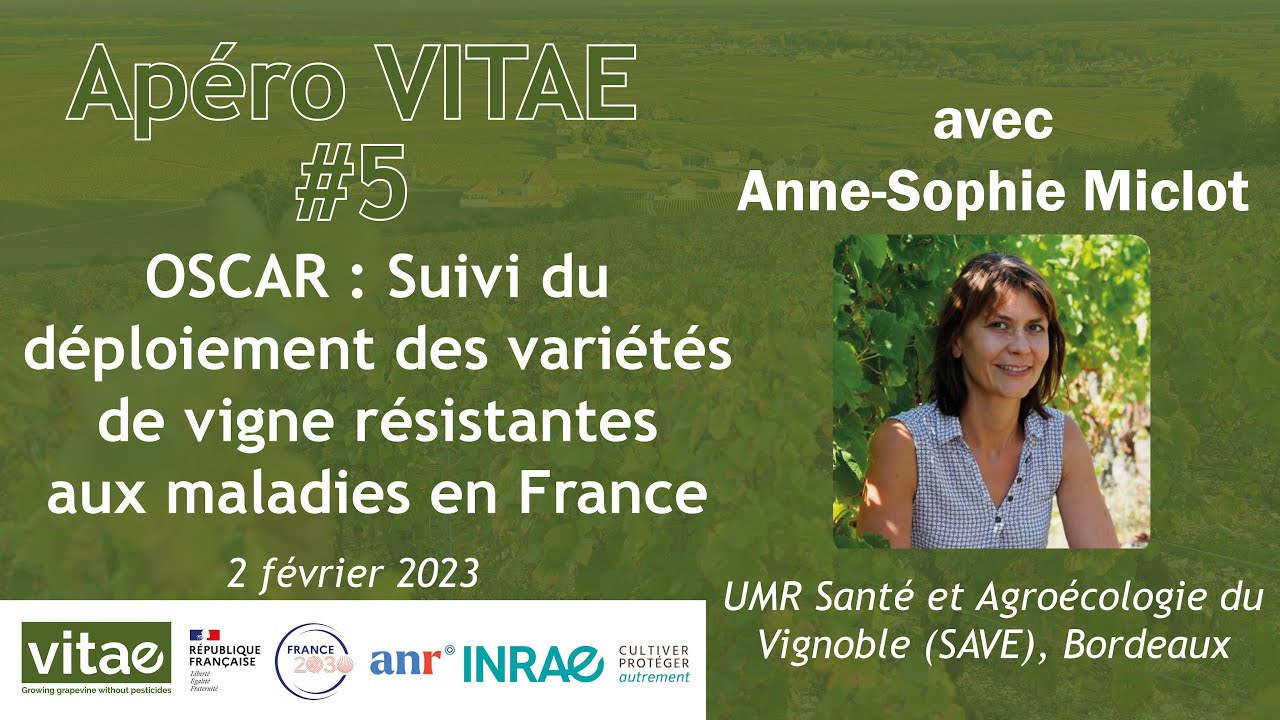 Apéro VITAE n°5 - Suivi du déploiement des variétés de vigne résistantes aux maladies en France