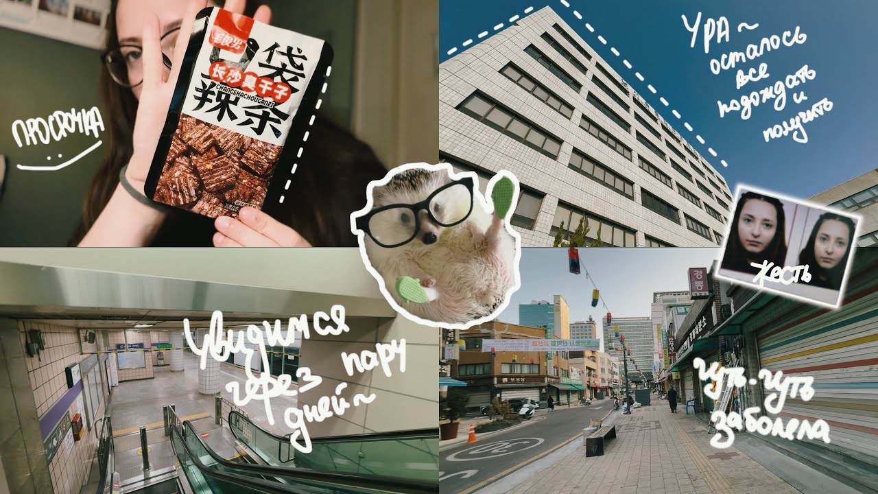 KOREA VLOG DIARY|моя обычная жизнь в Корее/была в имиграшке/покупка/ужасное фото на ID|19-23.02.2025
