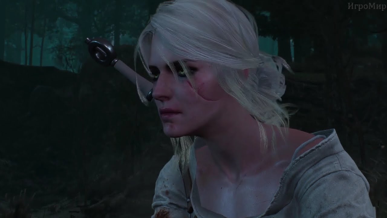 The Witcher 3 №3