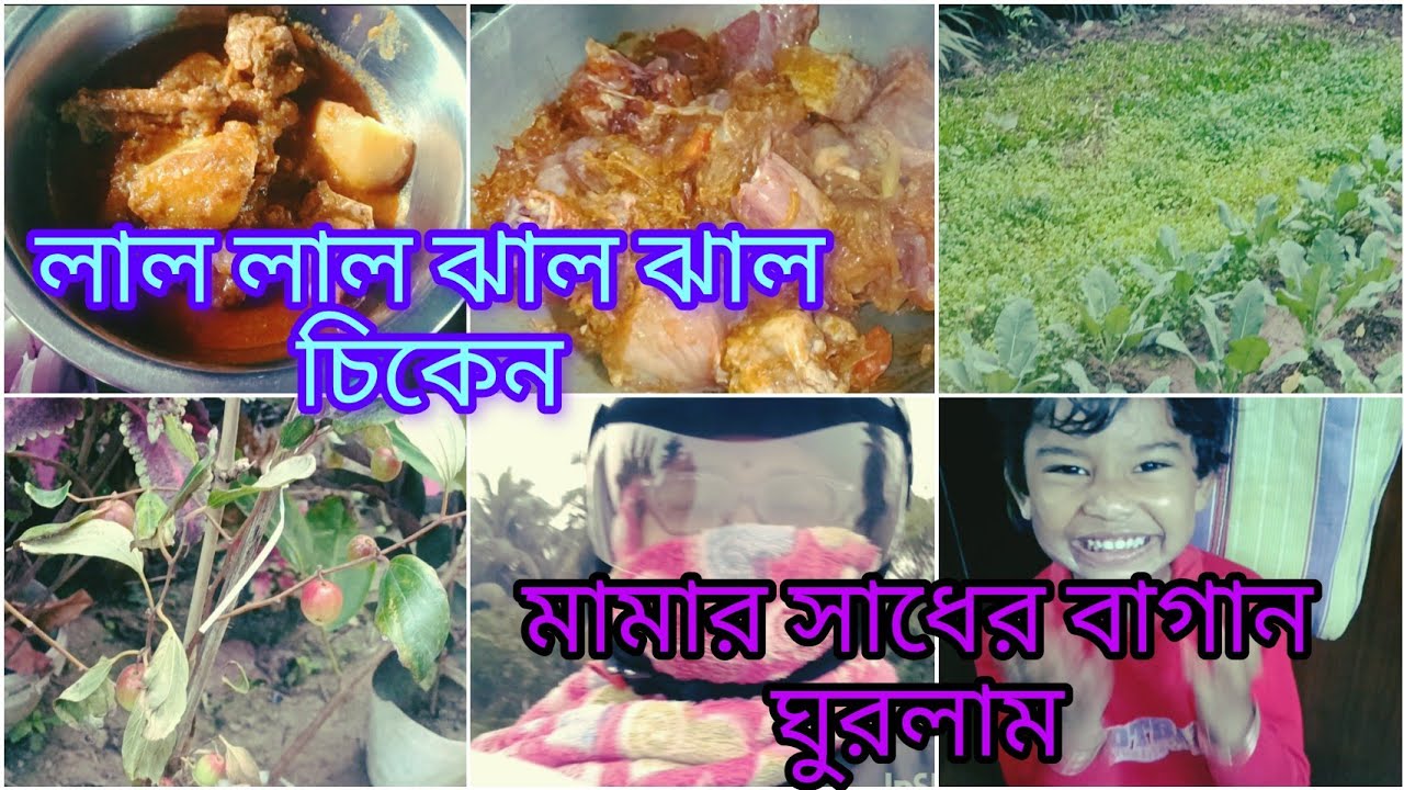 আজ দুপুরে বানালাম লাল লাল ঝাল ঝাল চিকেন 🤩😀😘।। বিকেলে গেলাম মামাবাড়ি, প্রচুর সুপারি কুড়িয়ে এনেছি😺🎈