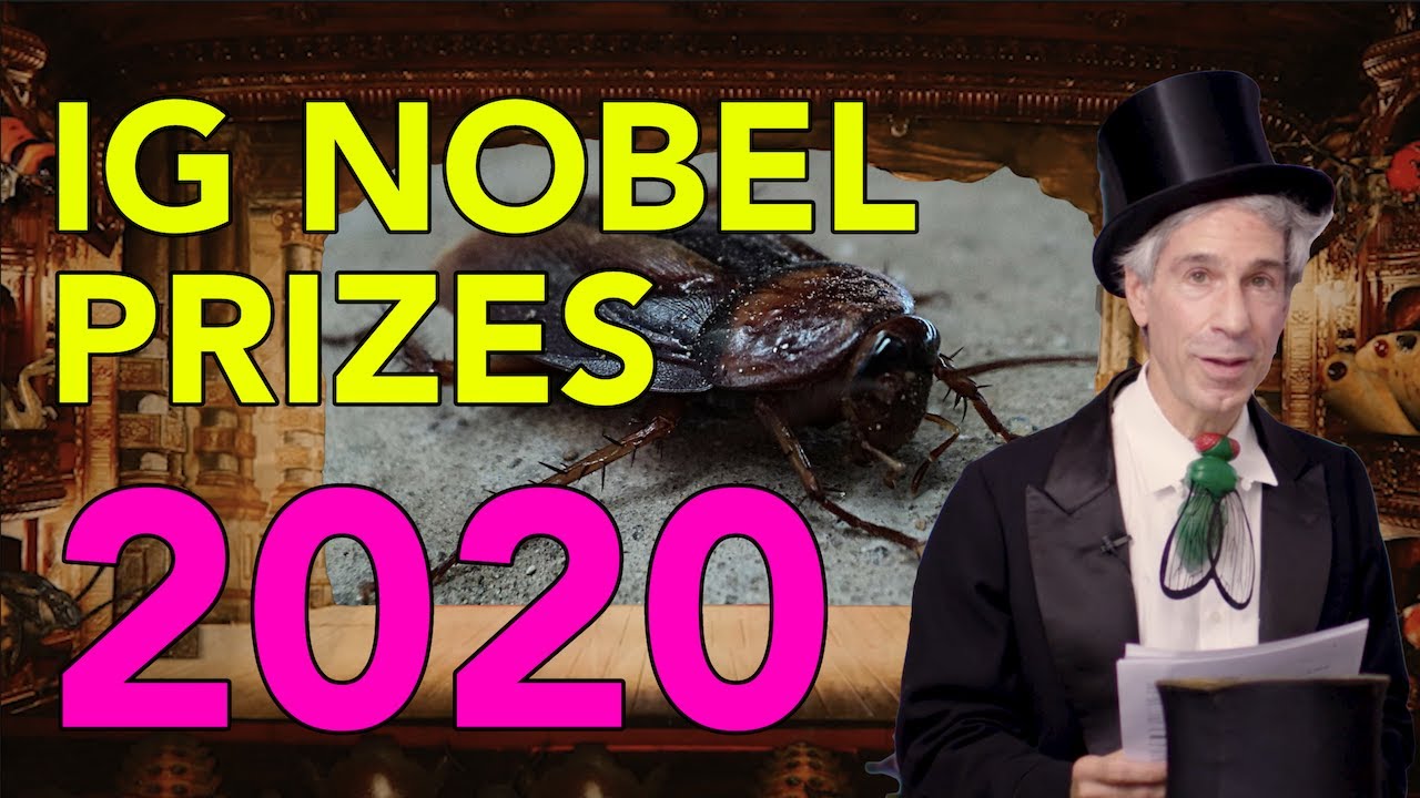 The Ig Nobel Prize Ceremony 2020