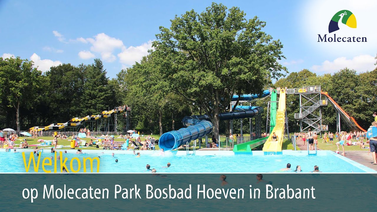 Welkom op Molecaten Park Bosbad Hoeven in Hoeven, Noord Brabant