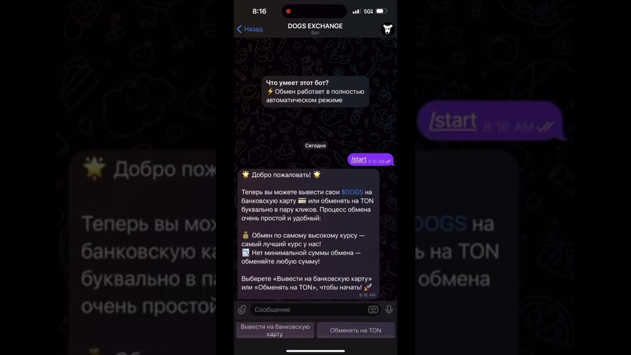 DOGS &ndash; как вывести догс с телеграм кошелька и биржи | Продать DOGS | Полная инструкция и гайд