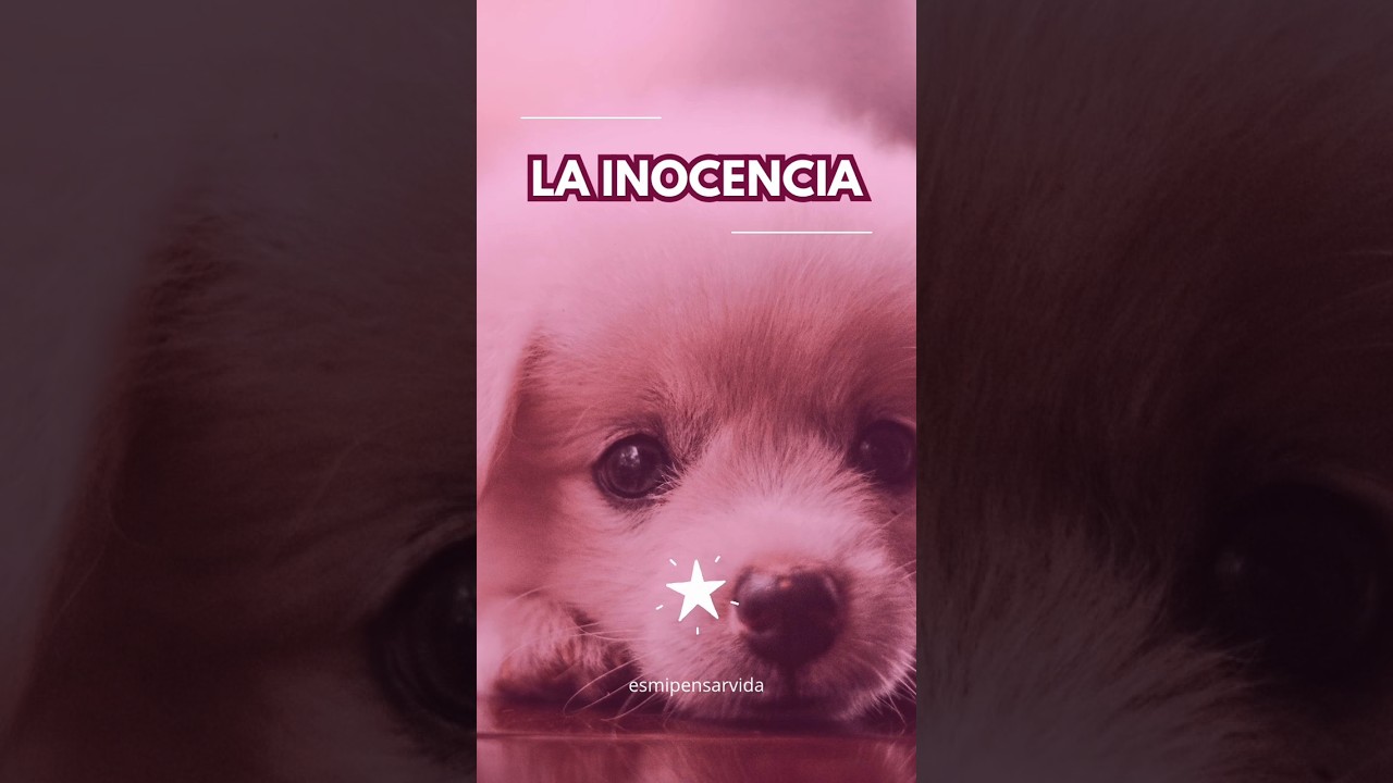 Recupera tu inocencia y vive sin cargas #inocencia #LibertadEmocional