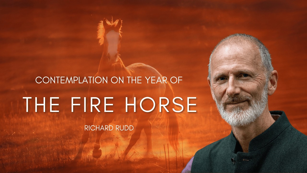 Contemplation on the Year of the Fire Horse