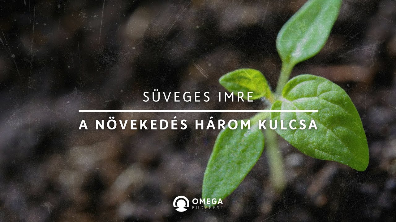 A növekedés három kulcsa
