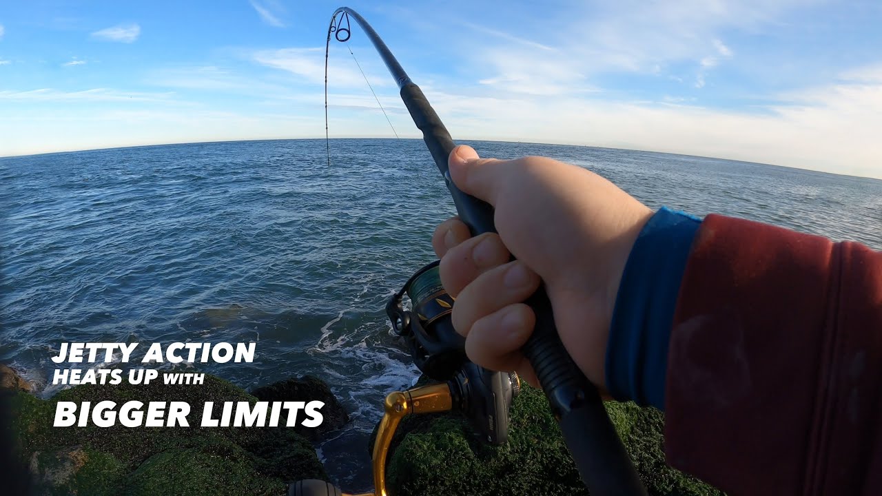 Tautog Fishing in November: Jetty Action Heats up with Bigger Limits