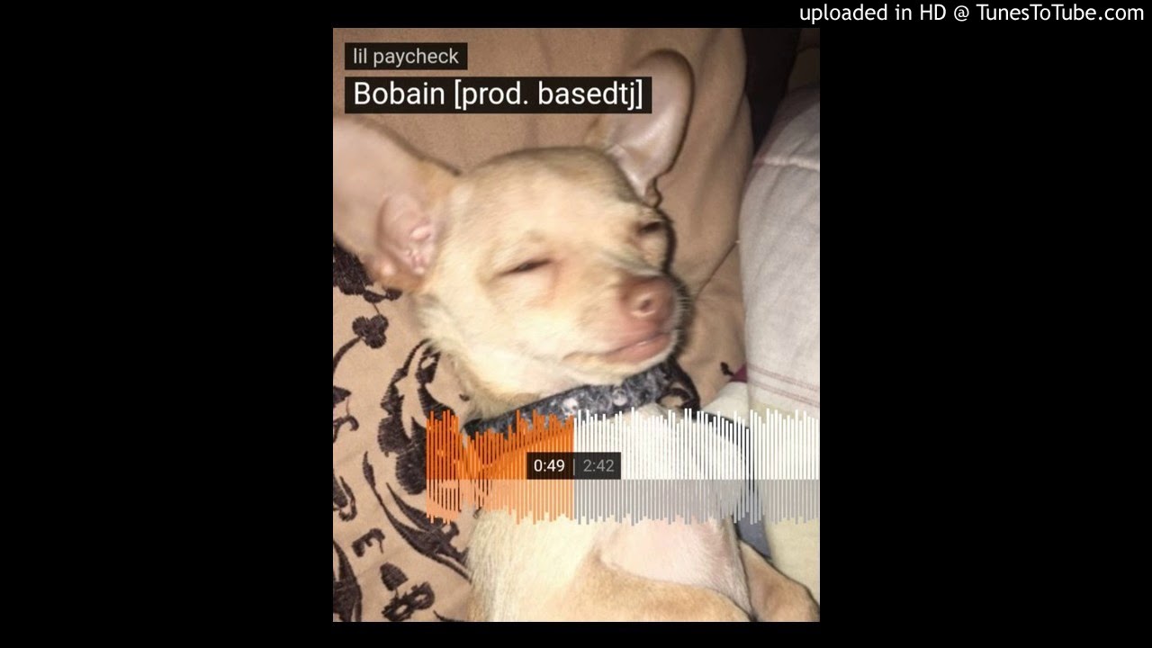 lil paycheck - Bobain [prod. basedtj]