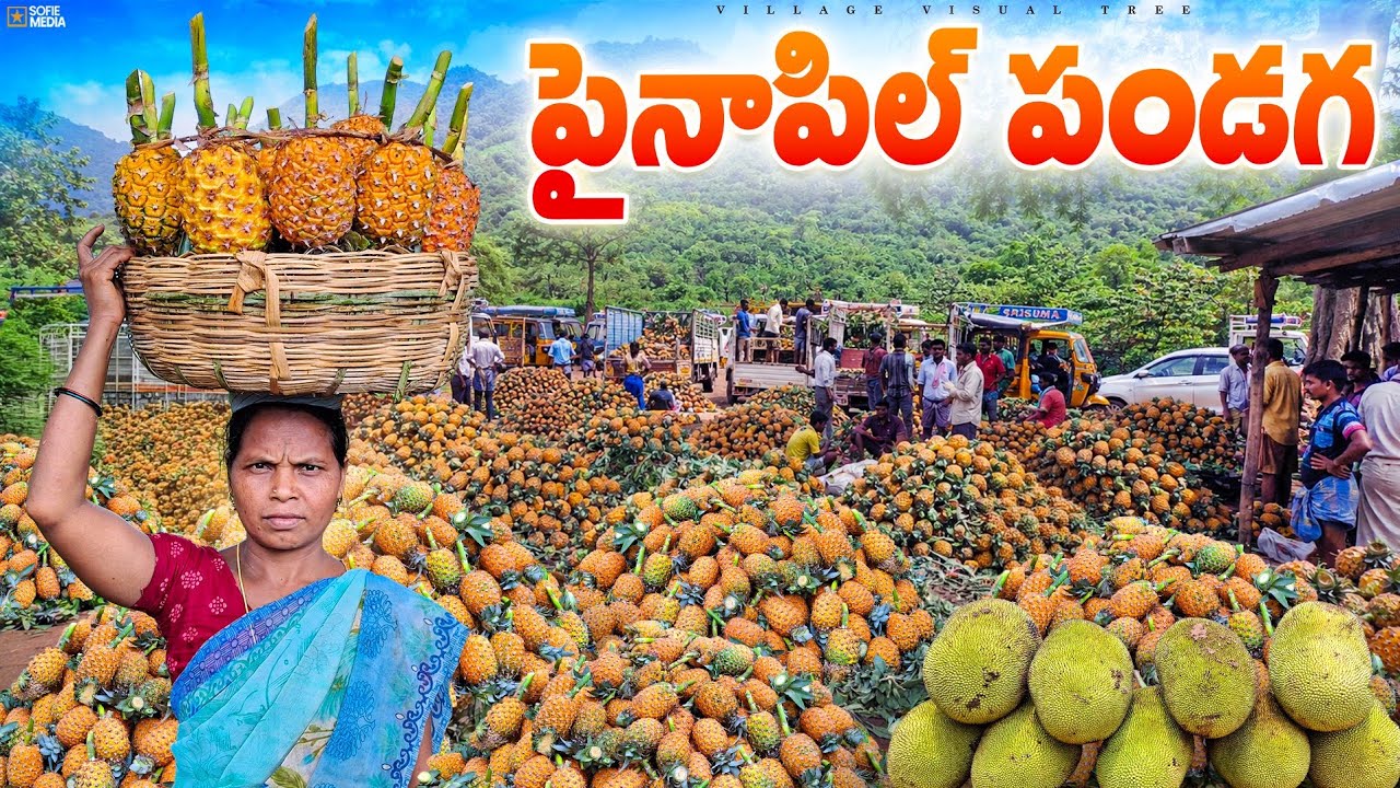 kusimi pineapple tribal market || kusimi santha