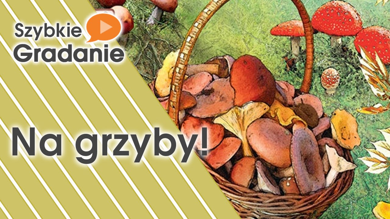 Szybkie Gradanie - Na grzyby! (gra planszowa)