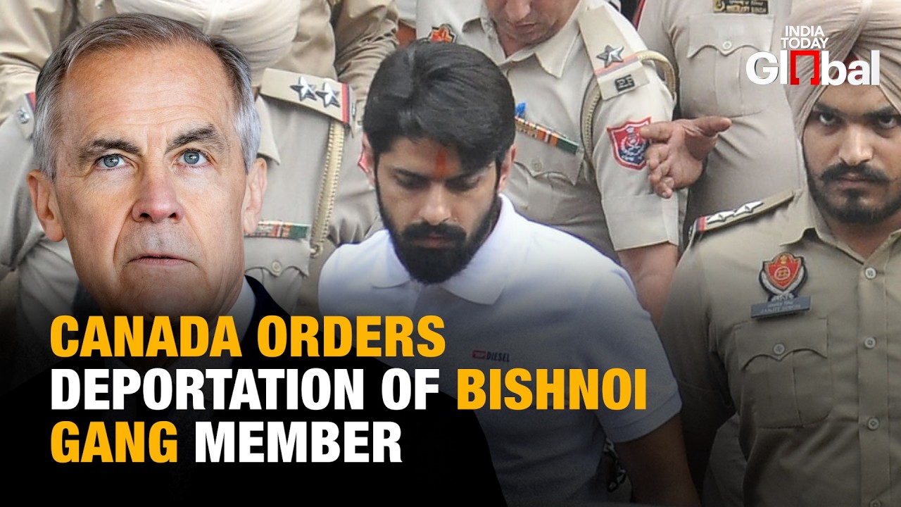 Canada Orders Deportation Of Bishnoi Gang Associate Amid Crackdown On Organized Crime In The Country