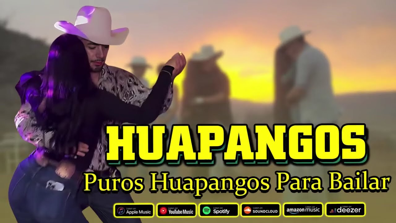 Mix de Huapangos 2024 ~ Huapangos Para Bailar Mix 2024 ~ Popurri De Huapangos Mix 2024