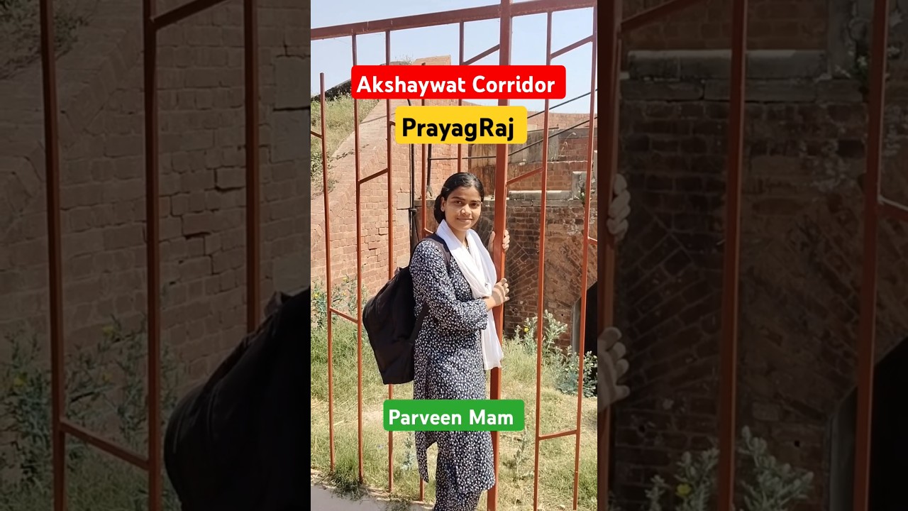 Akshaywat Corridor Prayagraj #kumbhmelaprayagraj #shortvideo #viralvideo
