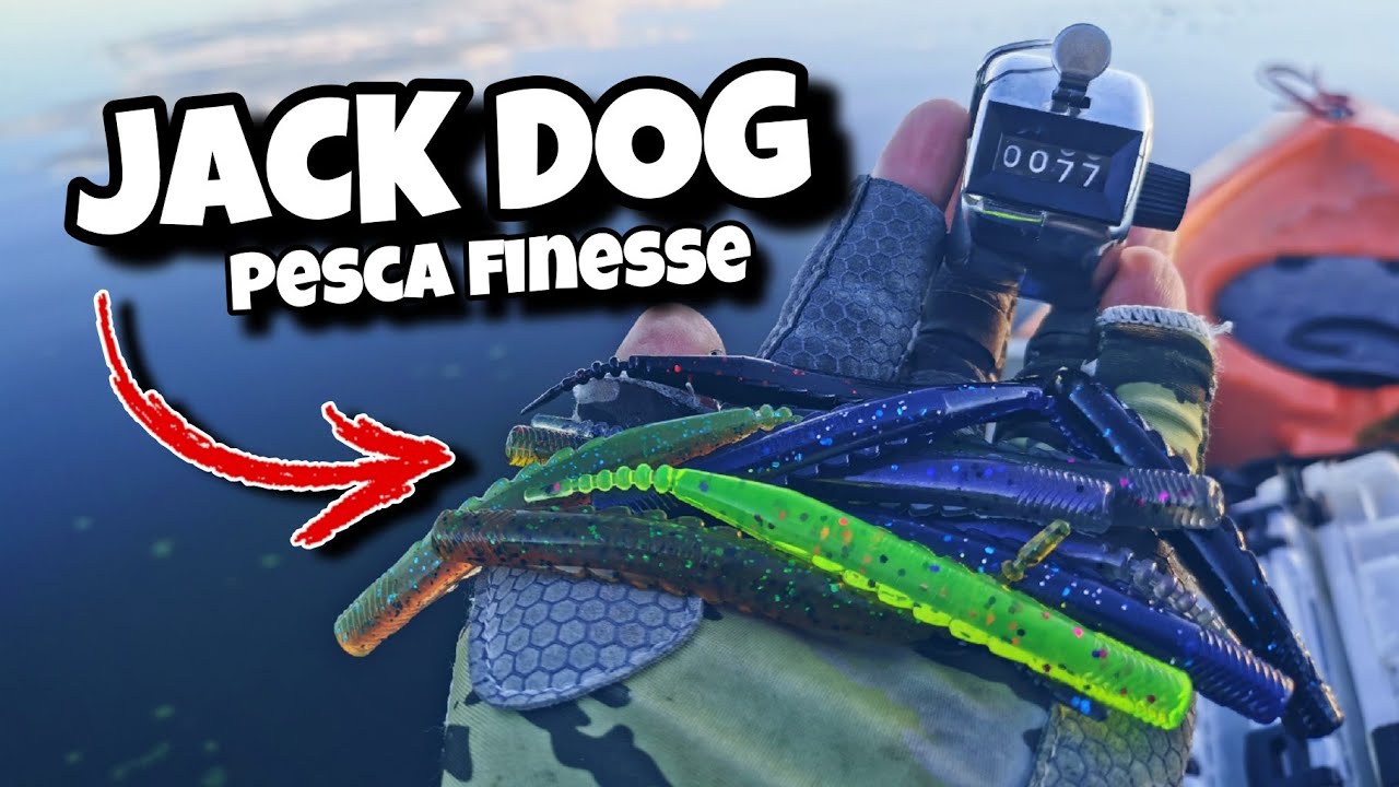 Cómo Pescar con Señuelos de Plástico | Pesca Finesse con diferentes Arreglos