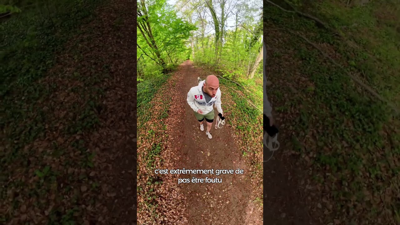 Journalisme bas de gamme #chien #educationcanine #husky #chiens #media #journalisme #animals