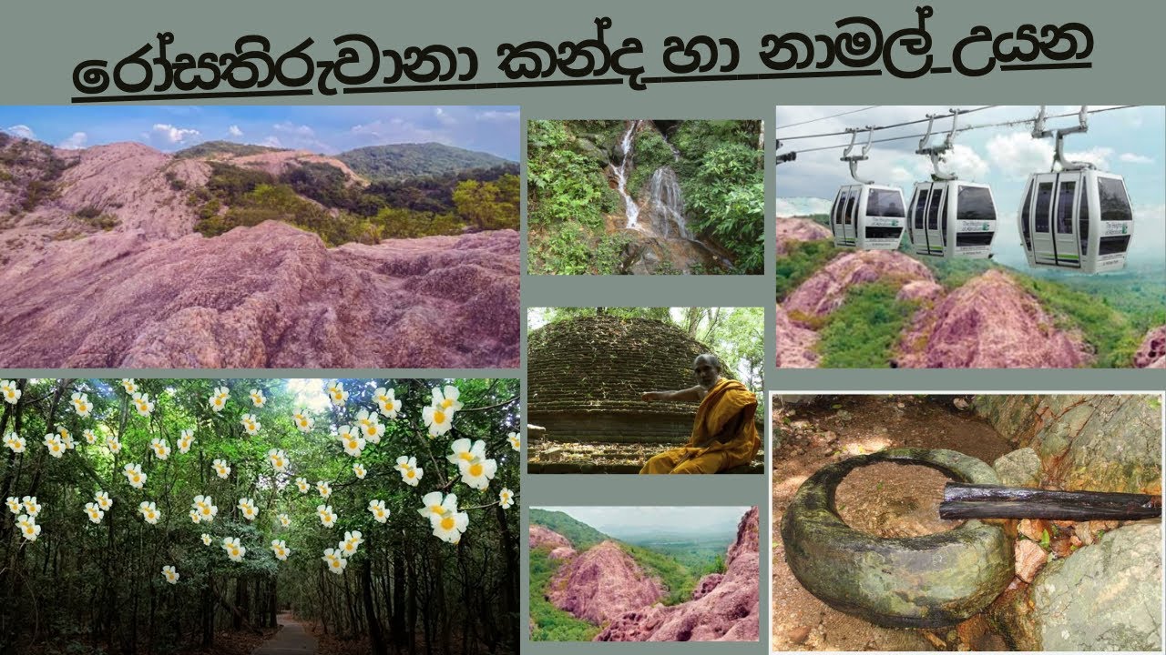 රෝසතිරුවානා කන්ද හා නාමල් උයන | Rosa thiruwana kanda and namal uyana