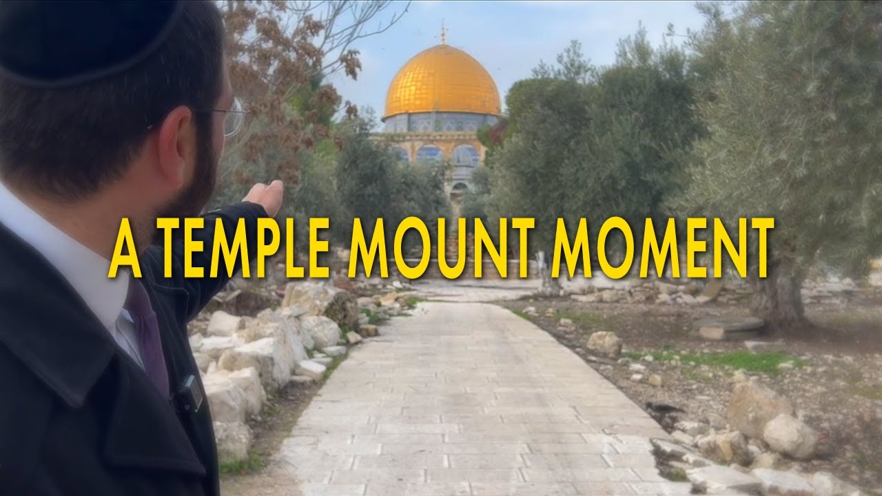 A Temple Mount Moment:  The Levite Stairs