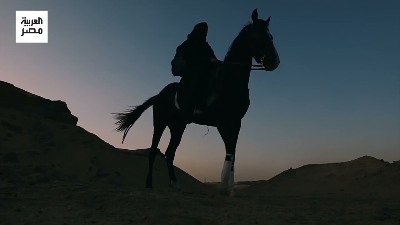 بسنت علام فارسة منتقبة تحترف ركوب الخيل