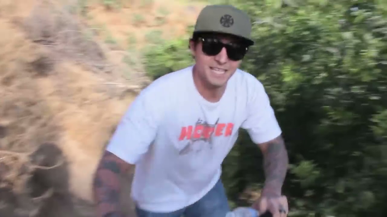 THE PALM TRAILS GOT TORN OUT