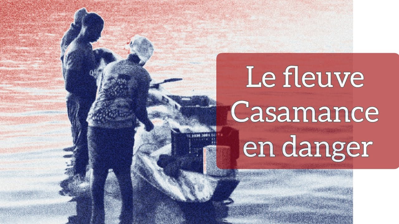 Reportage- Fleuve Casamance en danger :  pollution, pêche et sécheresse