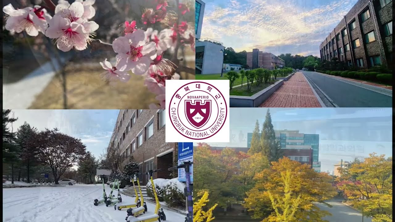Why CBNU?|| Elite_CBNUers || Chungbuk National University