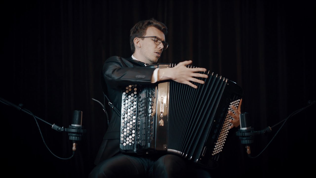 Accordion ASMR *ODDLY SATISFYING* (Parody)