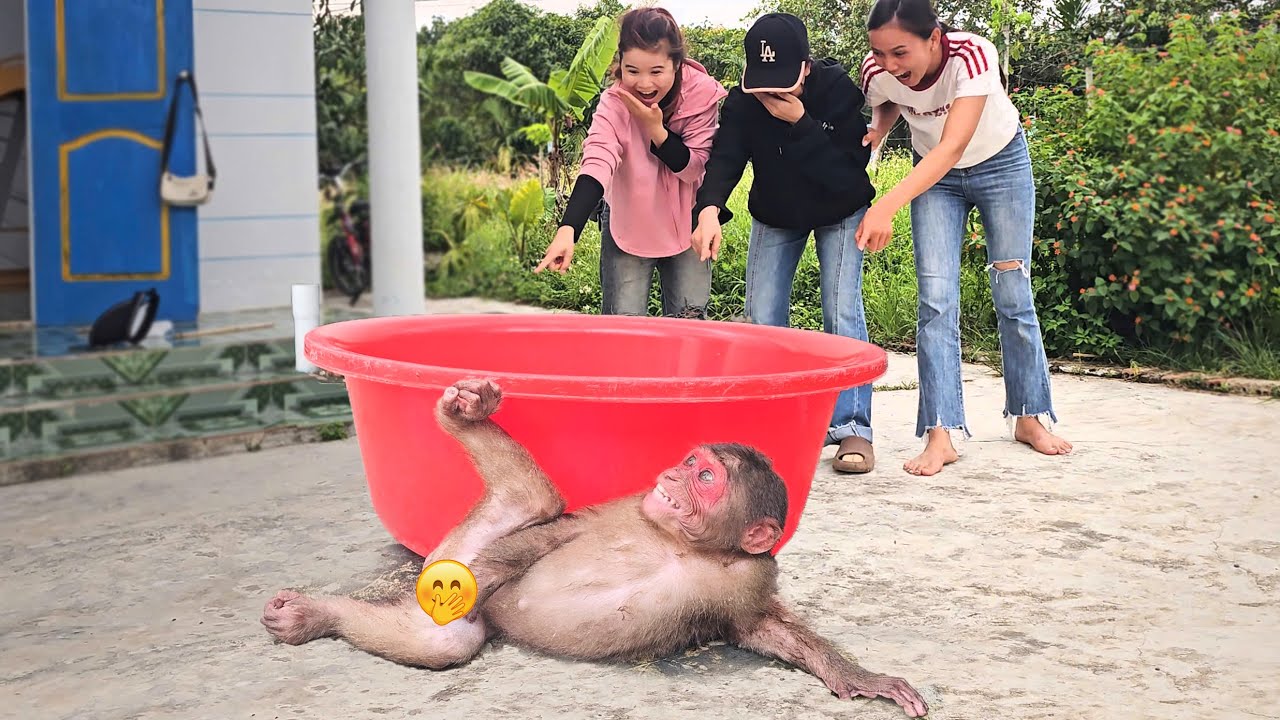 Funniest monkey😂 Monkey Su secretly take bath in a special unbelievable way