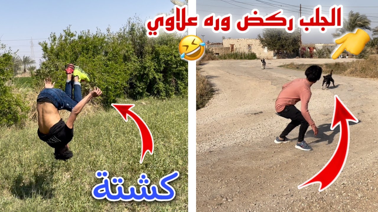 أقوى كشتة بالقناة 😍 علاوي القروي ركض وره الجلب 🤣