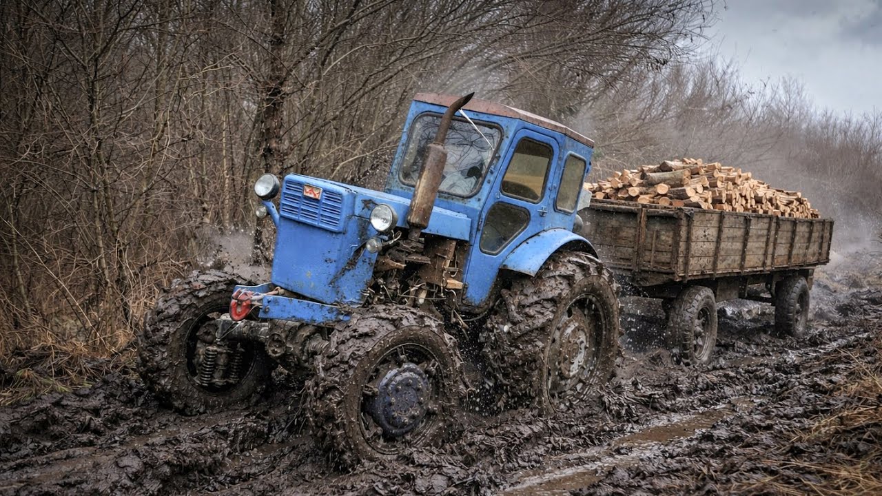 OFFROAD: Т-40АМ проти болота в лісі