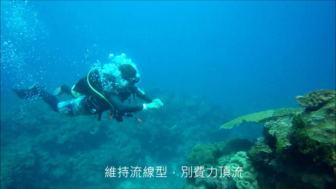 何月潛水趣 頂流篇