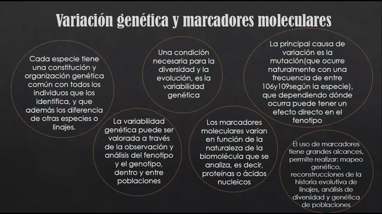Mejormaiento Animal - Laura Morales