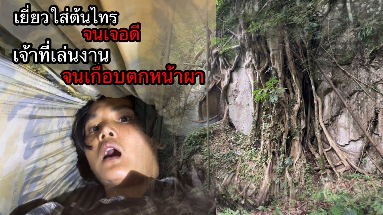 ฉี่ใส่ต้นไทร”ตกดึกโดนผีหลอก..จนเกือบตกหน้าผา