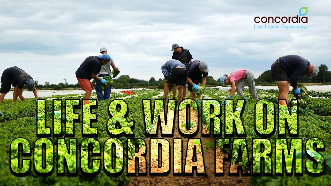 Life & Work on Concordia Farms