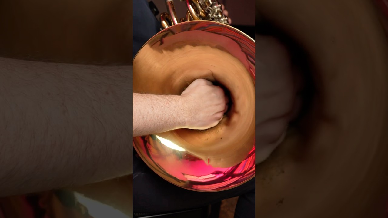 What happens to the pitch of horn when you fully stop the bell with your right hand? #frenchhorn
